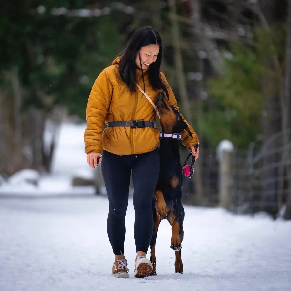 Handler walking a Doberman calmly on leash along a snowy path.